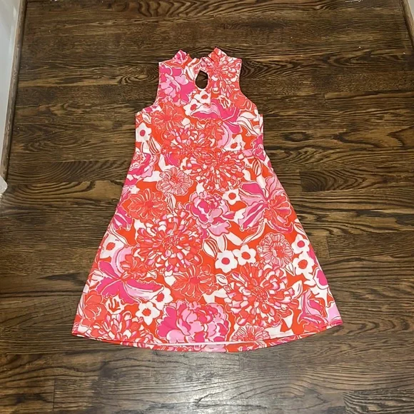 Lily Pulitzer Beautiful Floral Dress - Picture 5 of 10